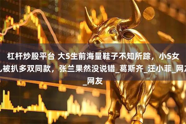 杠杆炒股平台 大S生前海量鞋子不知所踪，小S女儿被扒多双同款，张兰果然没说错_葛斯齐_汪小菲_网友