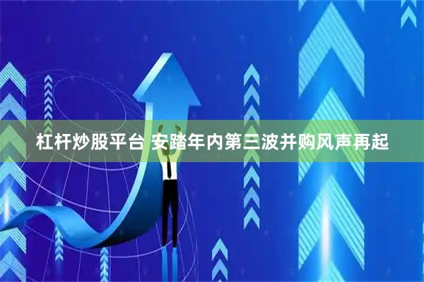 杠杆炒股平台 安踏年内第三波并购风声再起